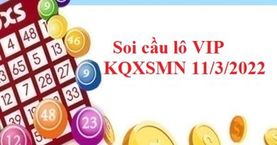 Soi cầu lô VIP KQXSMN 11/3/2022