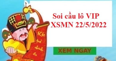 Soi cầu lô VIP XSMN 22/5/2022 hôm nay