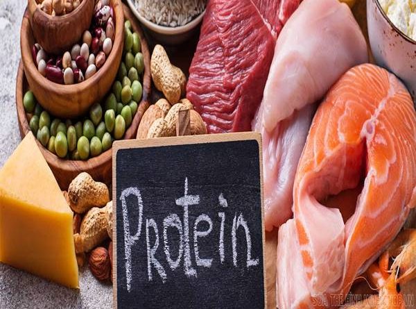 Protein là gì? Vai trò của Protein với cơ bắp và cuộc sống