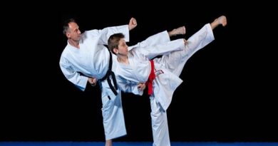 Karatedo là môn võ thuật gì? đên từ đâu?