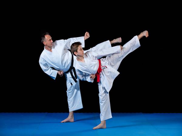 Karatedo là môn võ thuật gì? đên từ đâu?