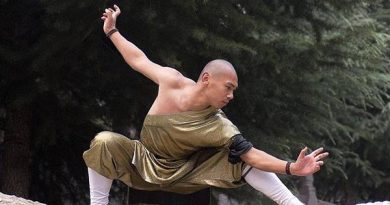 Tìm hiểu kungfu là gì?