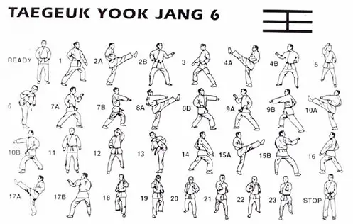 Taegeuk Yuk Jang (6 quyền Taegeuk) trong Taekwondo là gì