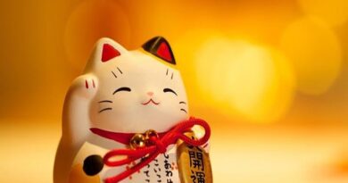 Con số may mắn tuổi Mão ngày 13/3/2025