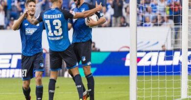 Câu lạc bộ Hoffenheim và những dấu ấn tại Bundesliga